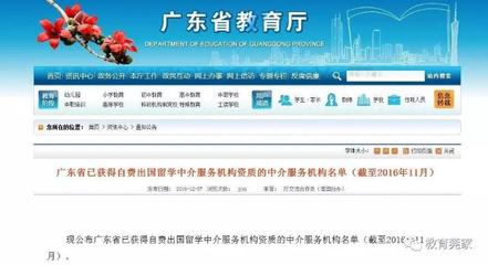 警惕留学中介资质陷阱 东莞仅五家机构获官方认可